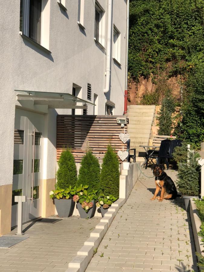 Neckartenzlingen Ferienwohnungen Lamisto Am Waldesrand מראה חיצוני תמונה